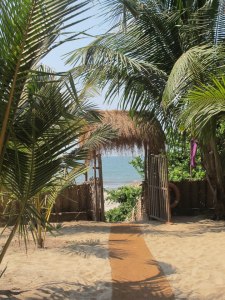 18485_10151249122237257_255711882_n