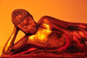 1951_59712662256_7478_n