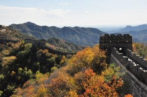 8226_176828587256_7749301_n