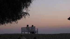 1521720_10151800787312257_228118971_n