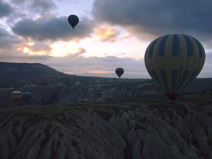 11751414_10152906679672257_1140530918319036542_n